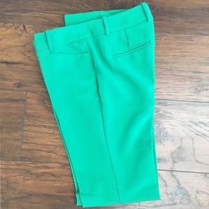 The Limited Dress Pants in Kelly Green